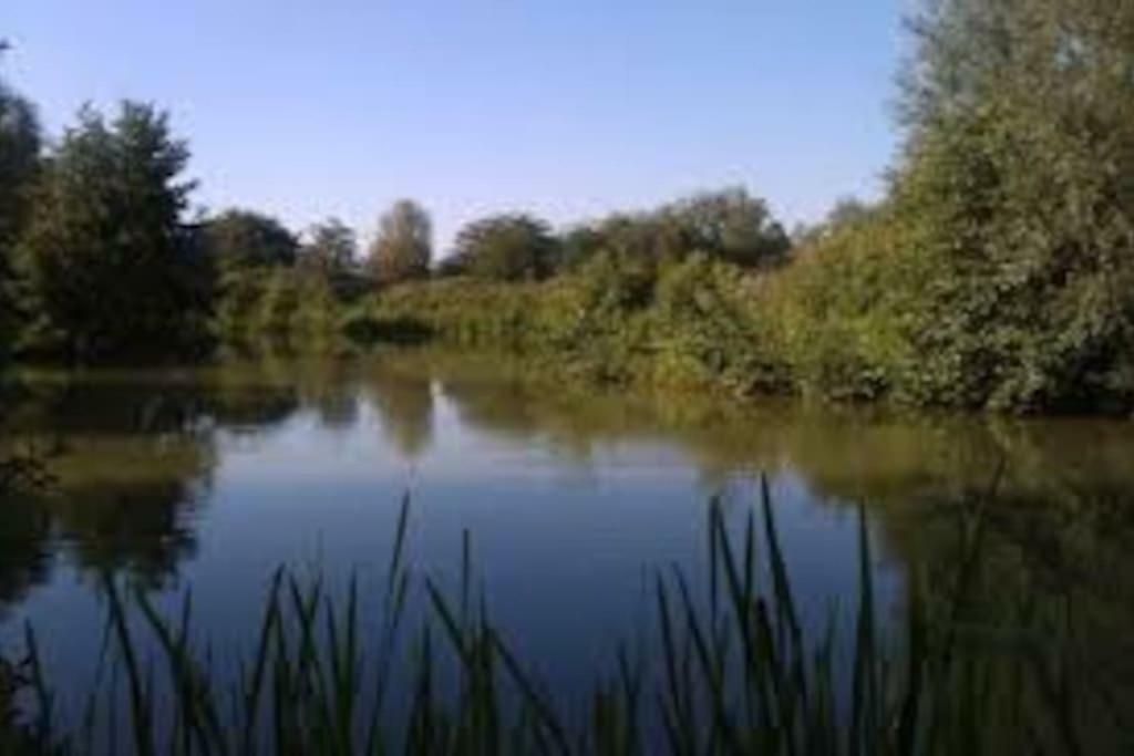Villa La Ferme Des Pierrettes Menneville Esterno foto